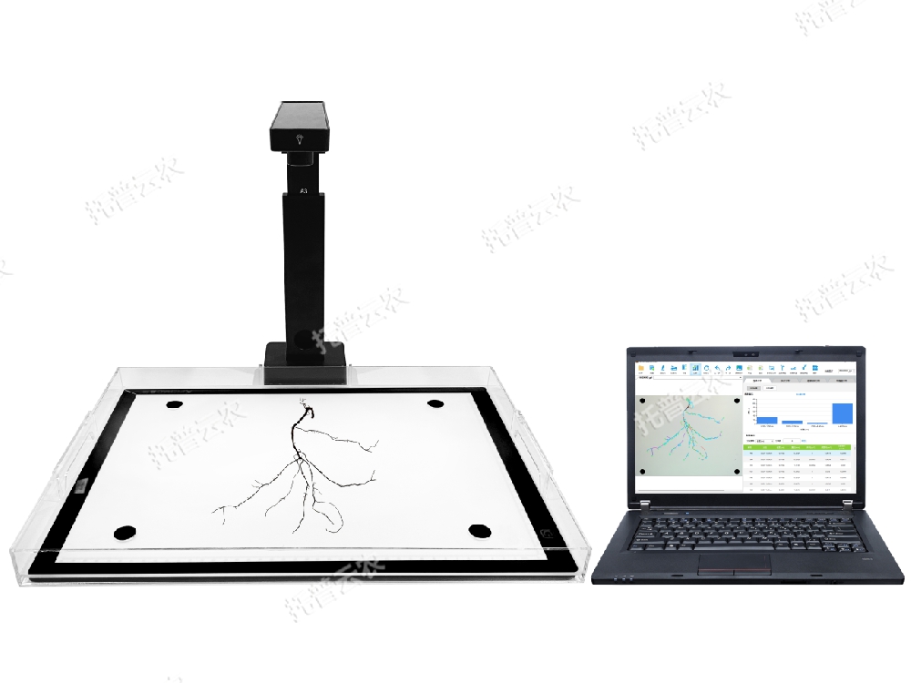 植物根系分析系統(tǒng)（拍照款）